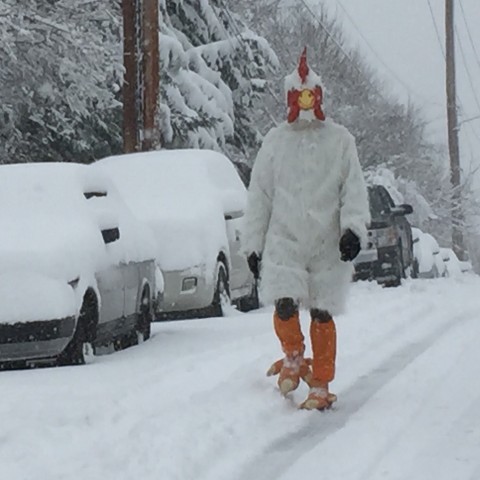 Mysterious chicken on Forrest Ave. Photo by Kevin Wisniewski
